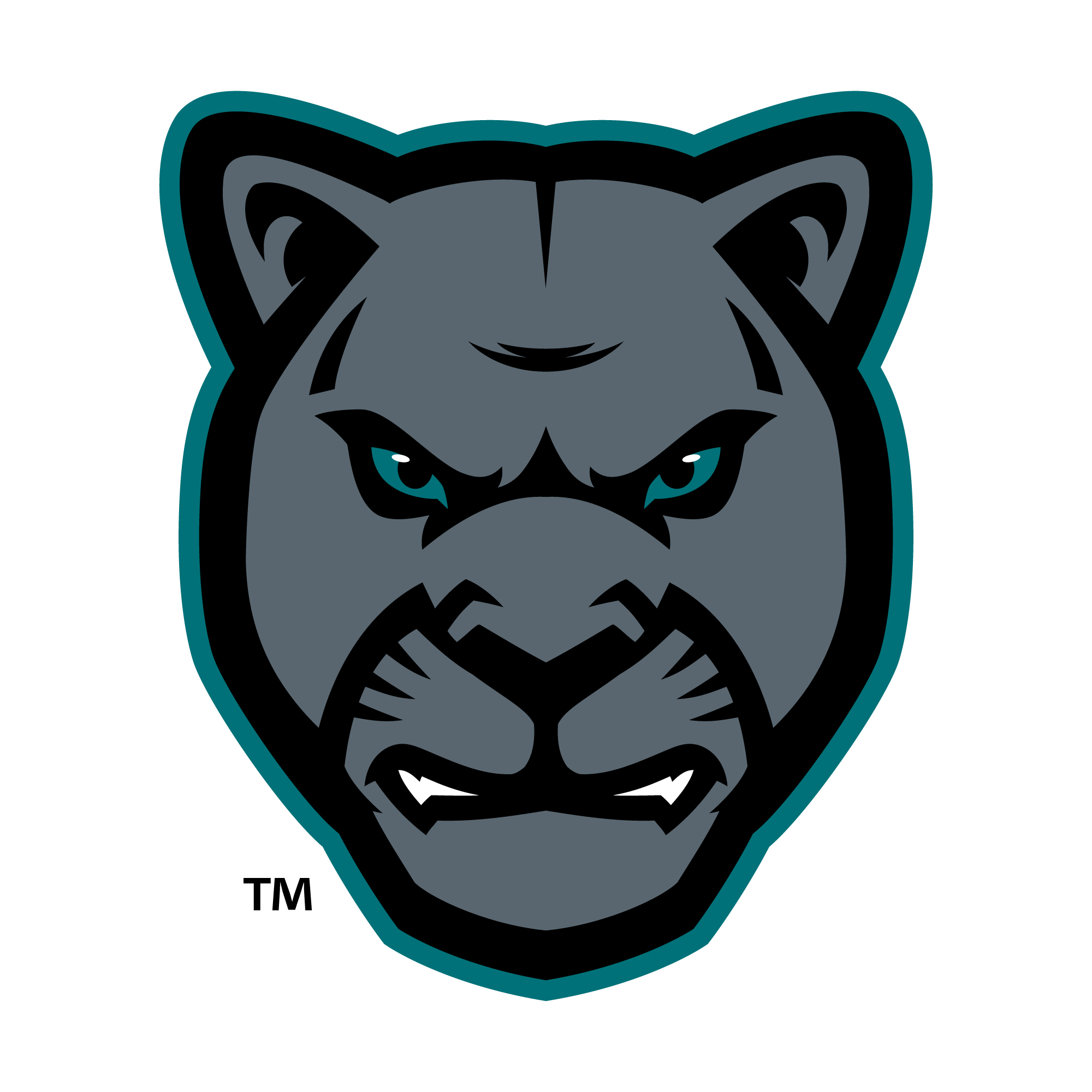 North Valleys High School Mascot Logo