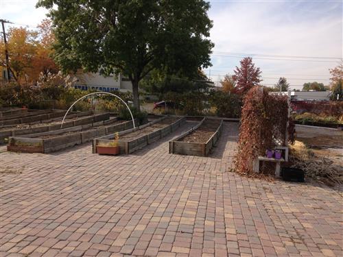 garden beds 