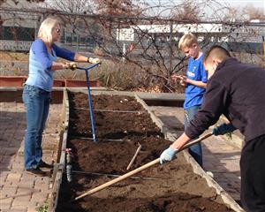 soil work 