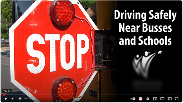  Drive Safely Around Busses and Bustops