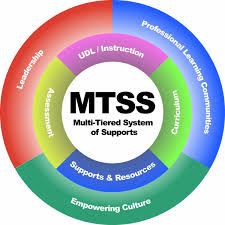mtss 