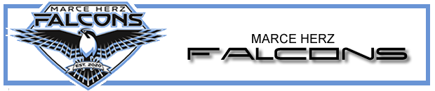 banner banner