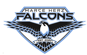 Falcon Force Falcon Force
