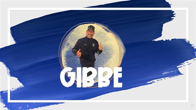 Gibbe