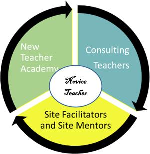 mentoring and induction novice teachers