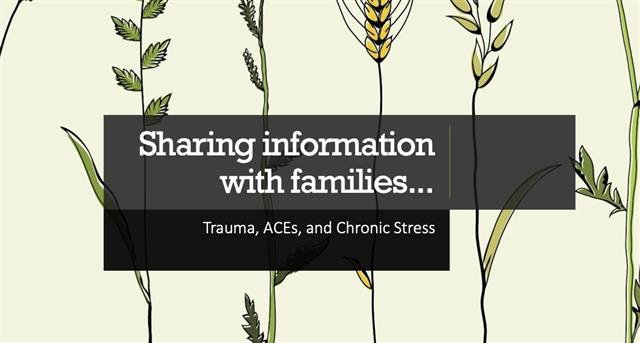 Exploring the Impacts of Trauma with Families