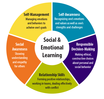 Understanding Social And Emotional Components Of Student