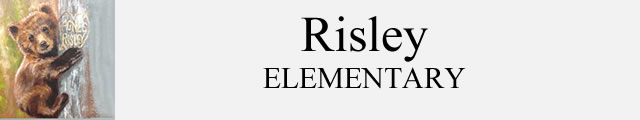 Risley Bear 