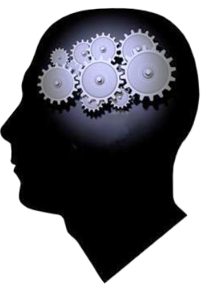 Knowledge Construction