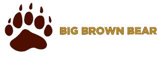 Big Brown Bear Typing 