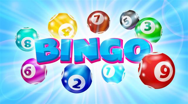  BINGO