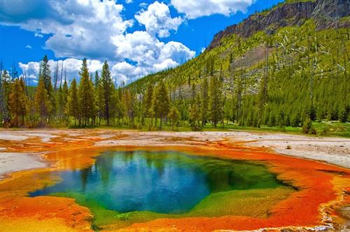 Visit Yellowstone TODAY! 