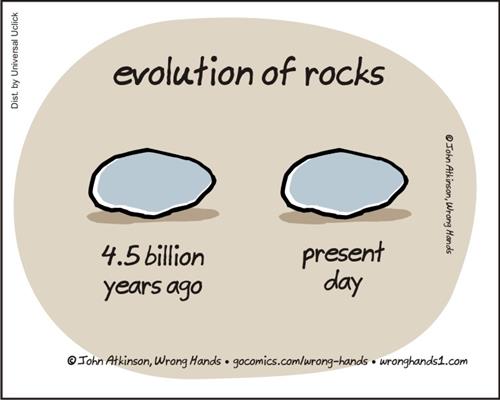 rock evolution