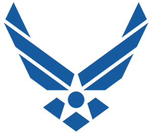 Air Force Wings 