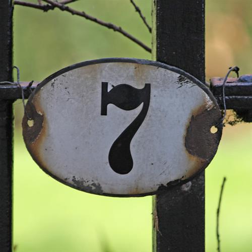 7 